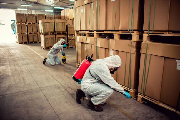 Best Residential Pest Control  in Rock Island, IL