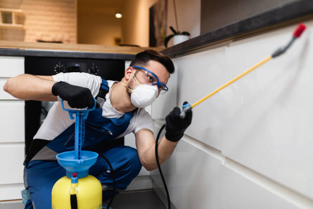 Best Pest Control Cost  in Rock Island, IL