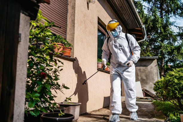 Wasp Removal Services in Rock Island, IL