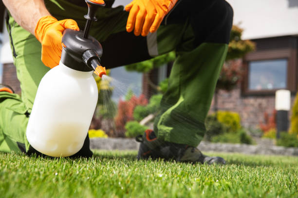Best Commercial Pest Control Services  in Rock Island, IL
