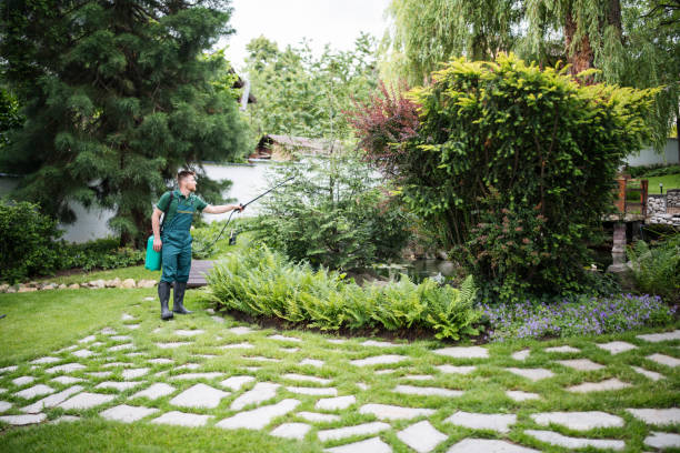 Professional Pest Control in Rock Island, IL