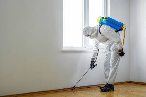 Best Pest Inspection Near Me  in Rock Island, IL