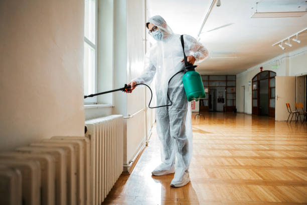 Best Cockroach Control Services  in Rock Island, IL