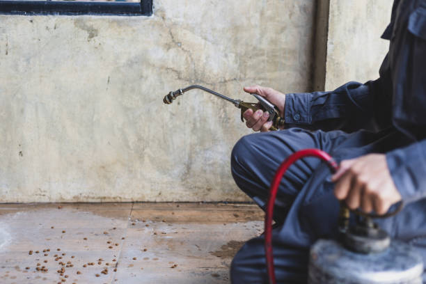 Best Rat Extermination Near Me  in Rock Island, IL